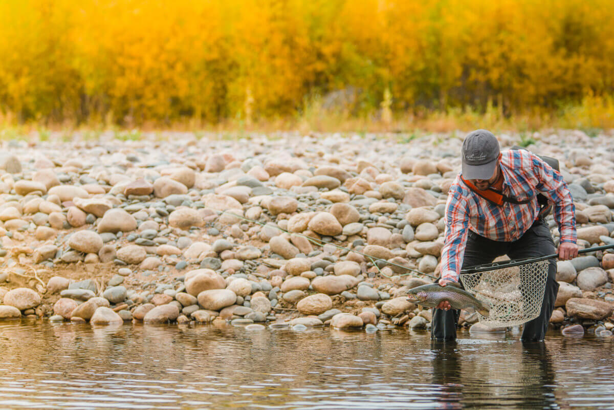 Private Fly Fishing the Elk River for Trout Near Steamboat Springs, CO